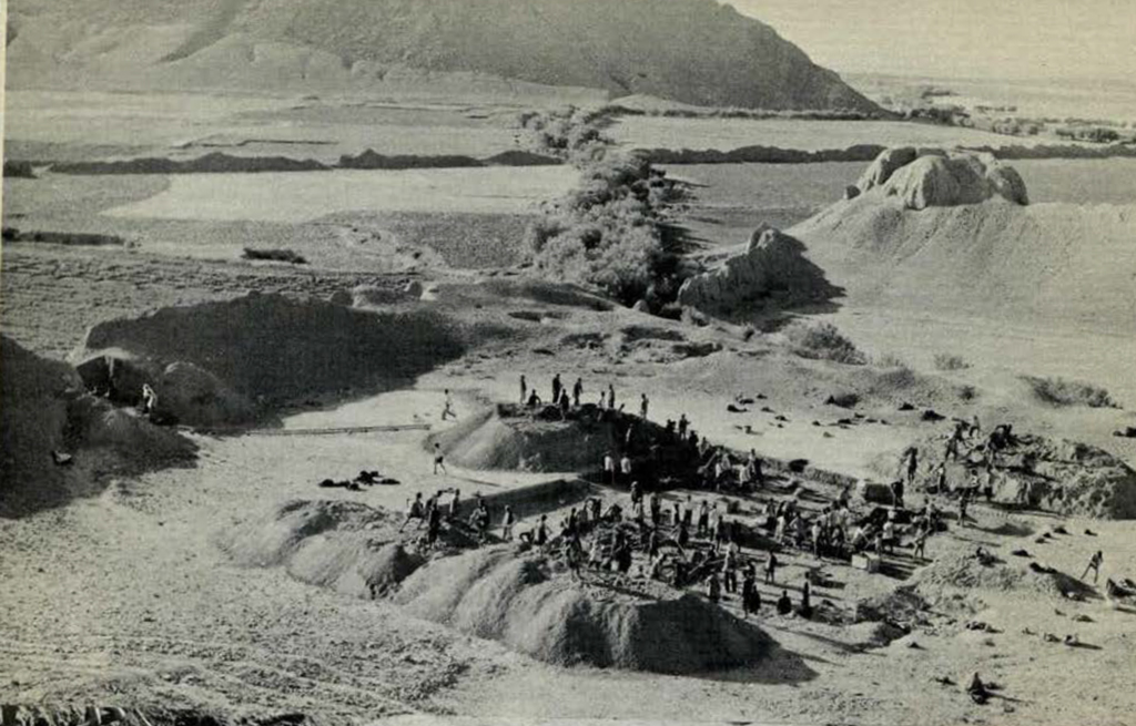 Aerial view of the citadel at Rayy being excavated, amidst the surround landscape