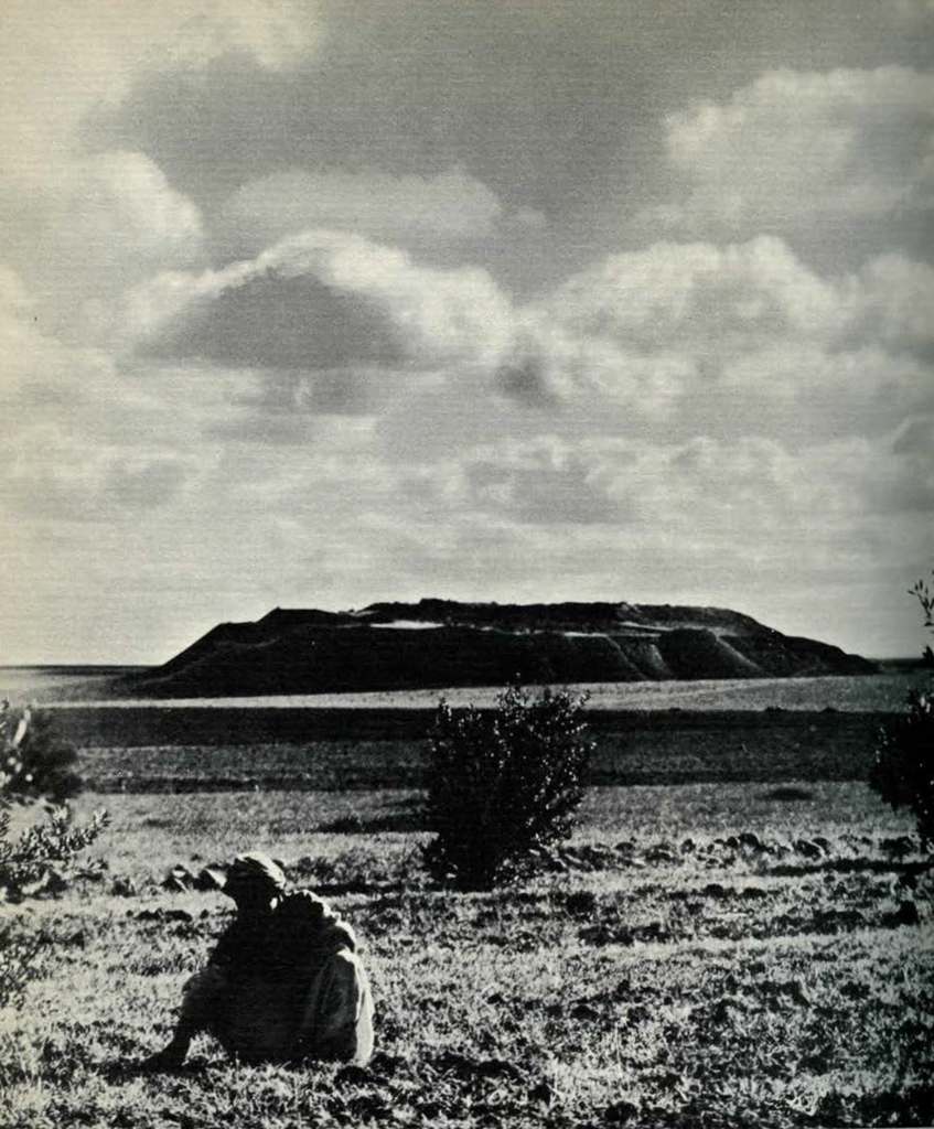 A view of Tepe Gawra, a mound in the distance from an olive grove, a man sitting in the foreground
