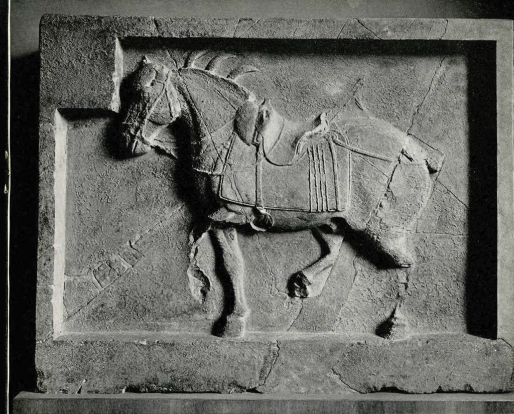 Relief of the horse Quanmaogua trotting despite it's wounds