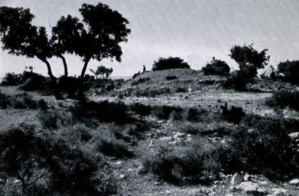 A mound in a landscape of low trees and shrubs