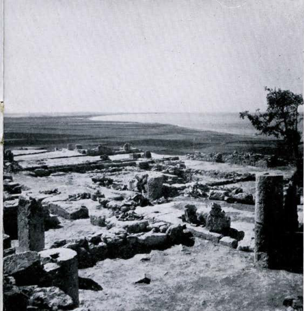 View of the palace during excavation