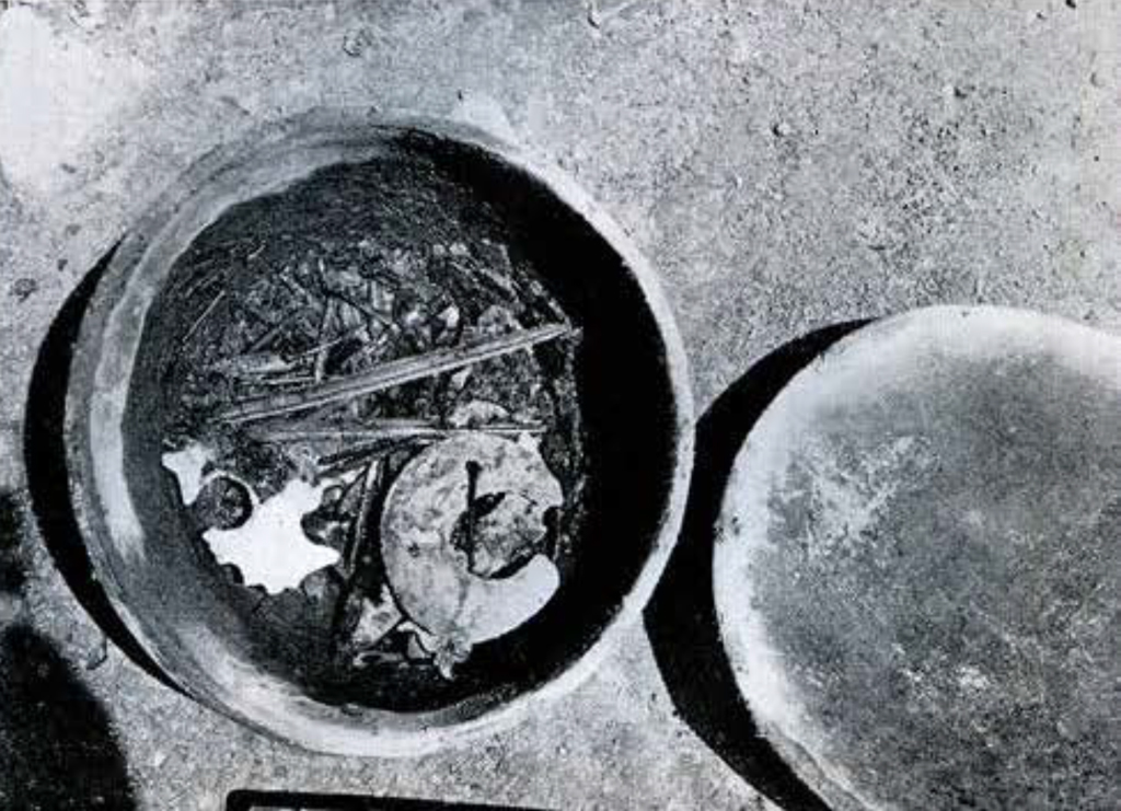 View looking inside of a bowl containing an array of natural objects