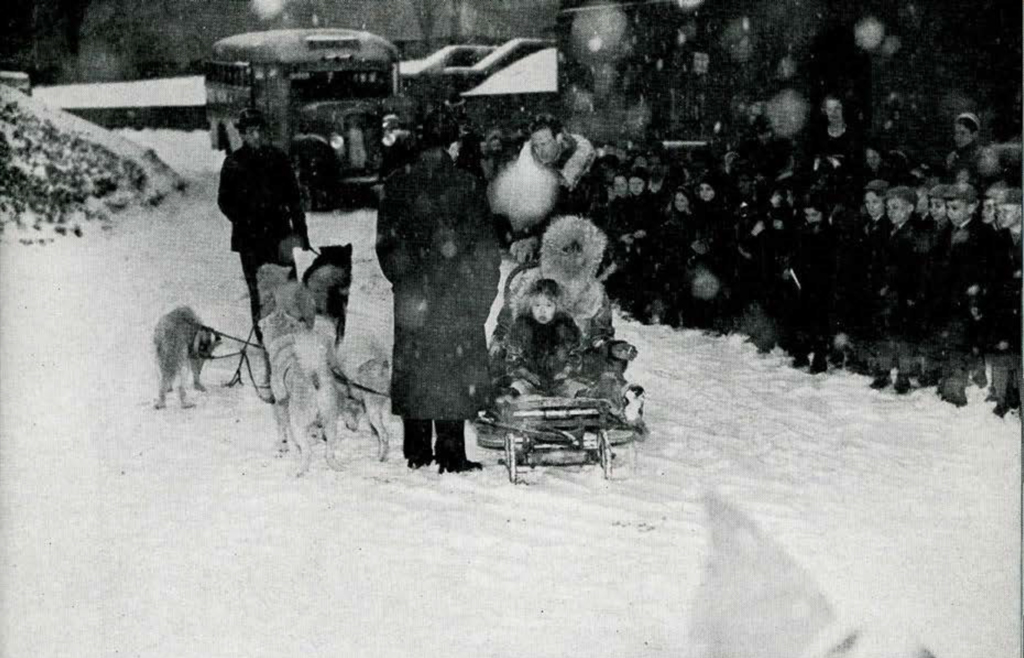 Some children on a sled pulled by dogs