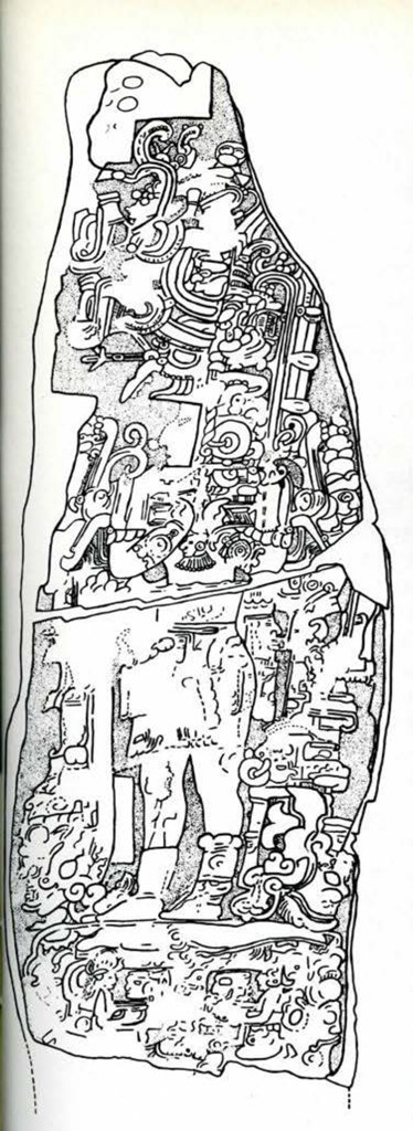 Drawing of the carvings on the front of Stela 16.