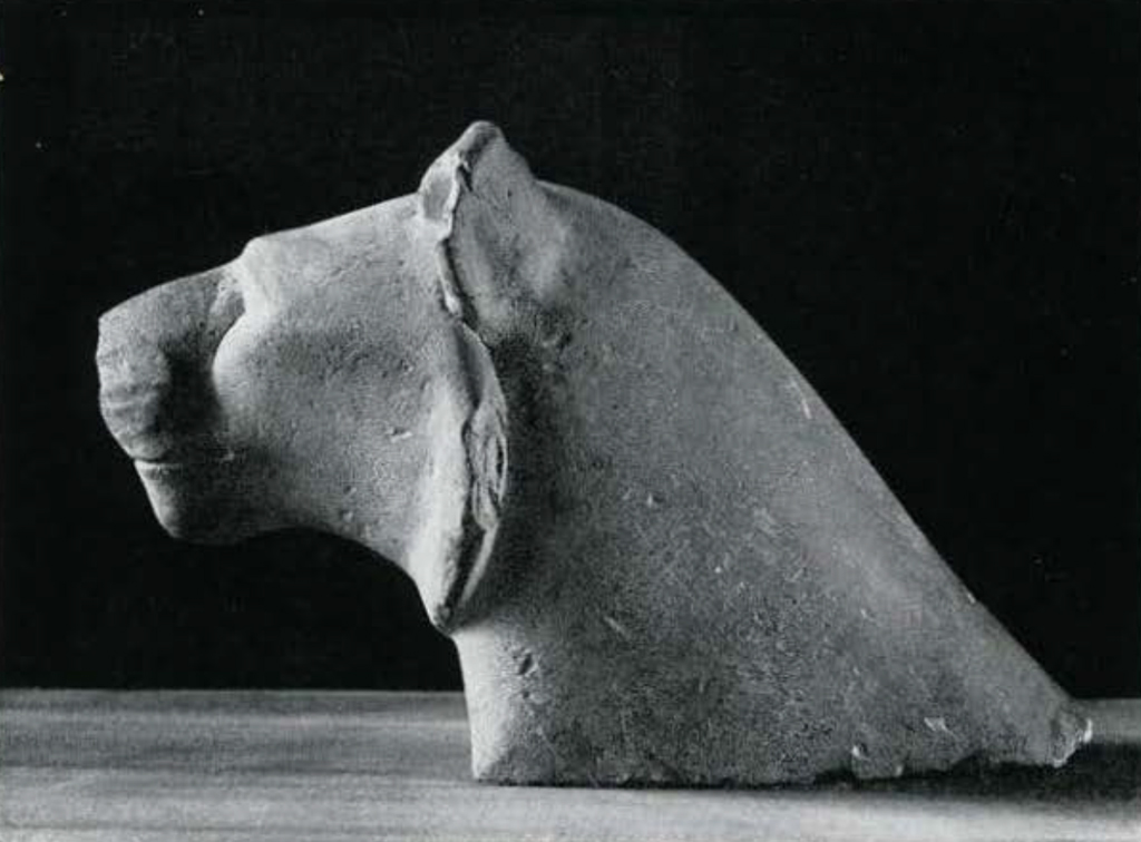 Stone lioness head.