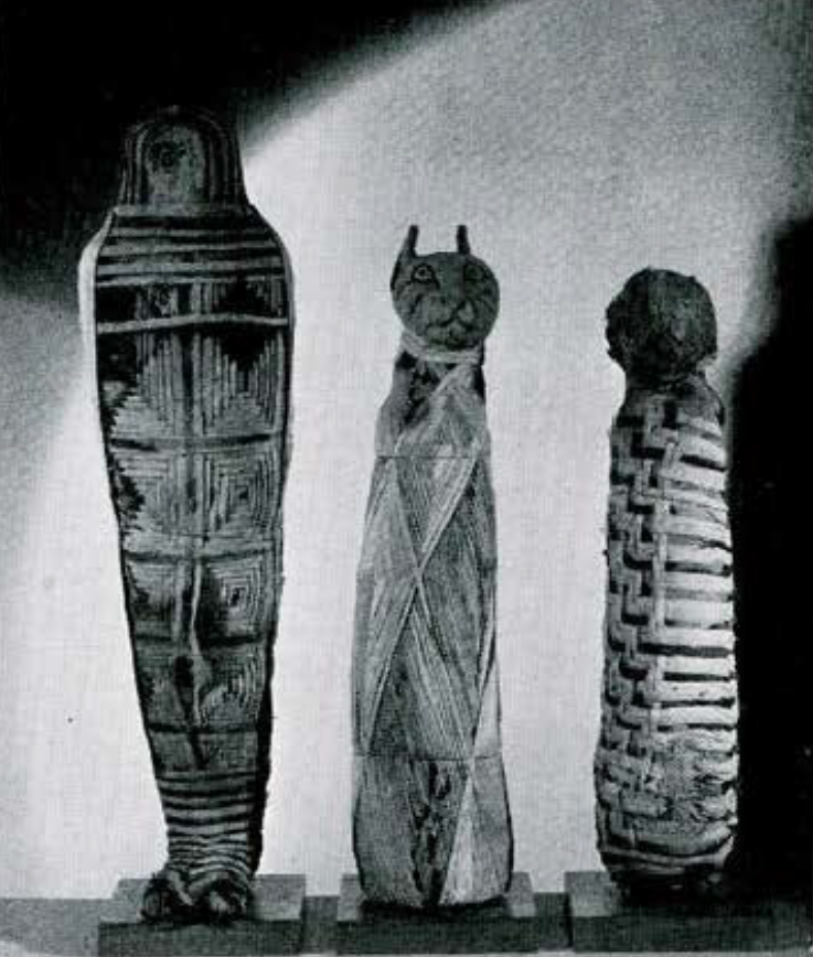 Three animal mummies with different styles of wrapping, all in geometric patterns.
