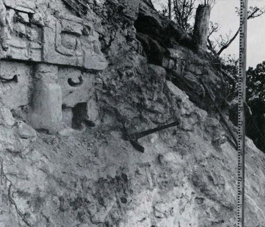 A large stone face, the nose and eyes just visible after excavation.