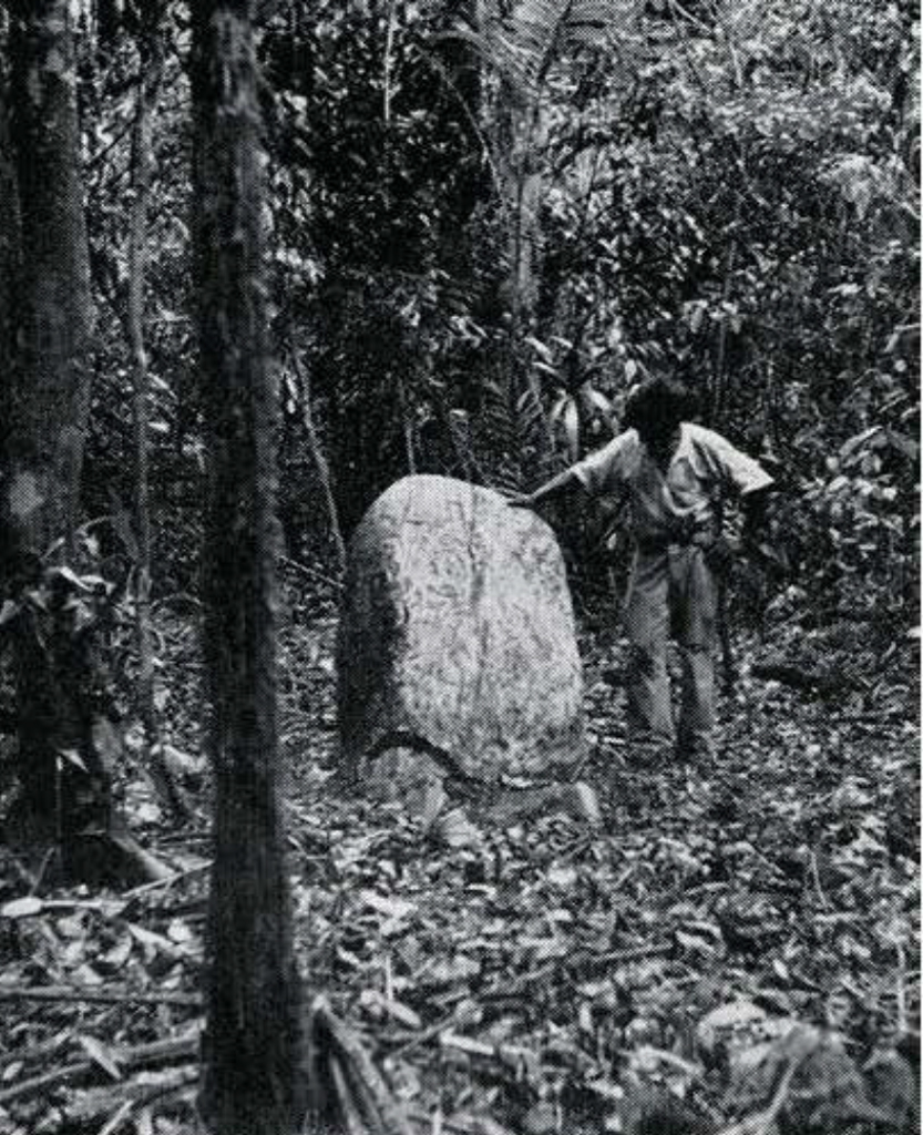 A man looking and touching a rounded stone sticking out of the ground.