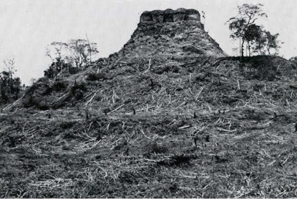 View of a structure on top of a large mound covered in brush.