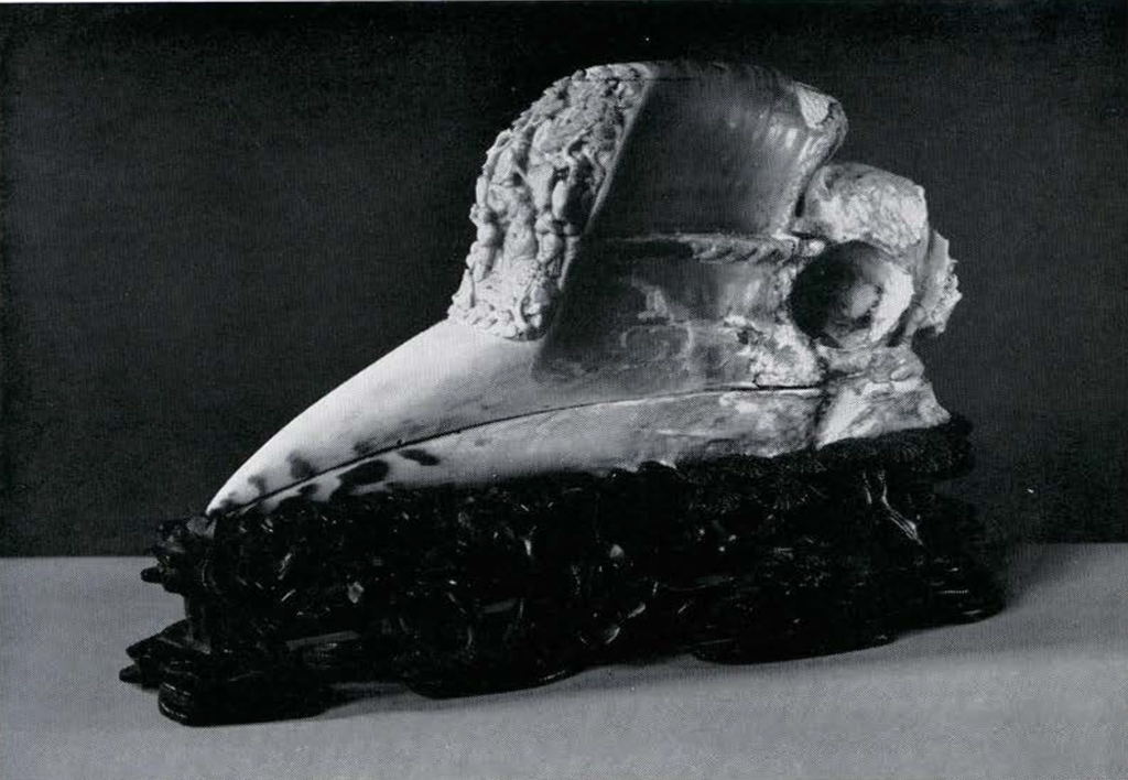 Hornbill skull with 'Forehead' area carved in high relief, scene represents a historical event when the first king of the Zhou Dynasty discovers, in the guise of a humble fisherman, the brilliant statesman who was to help him win and keep his throne.