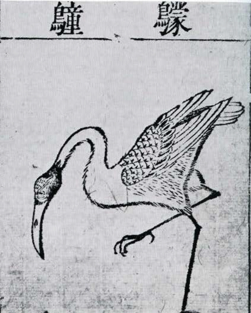 An ink painting of a hornbill with one leg raised.