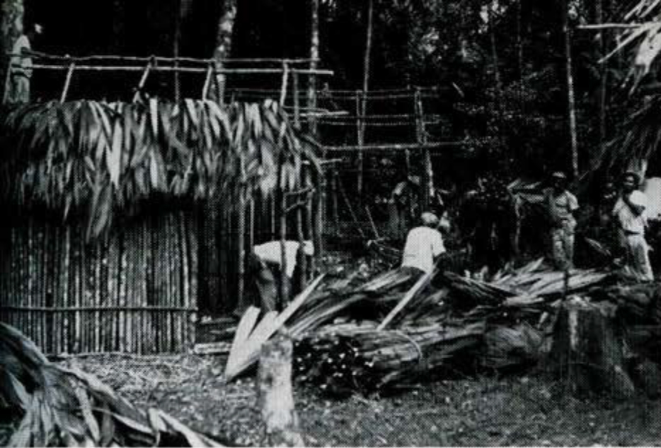 A group of people building a hut.