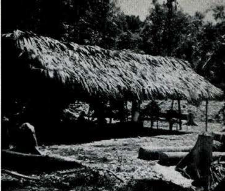A long, open air building with thatched roof.