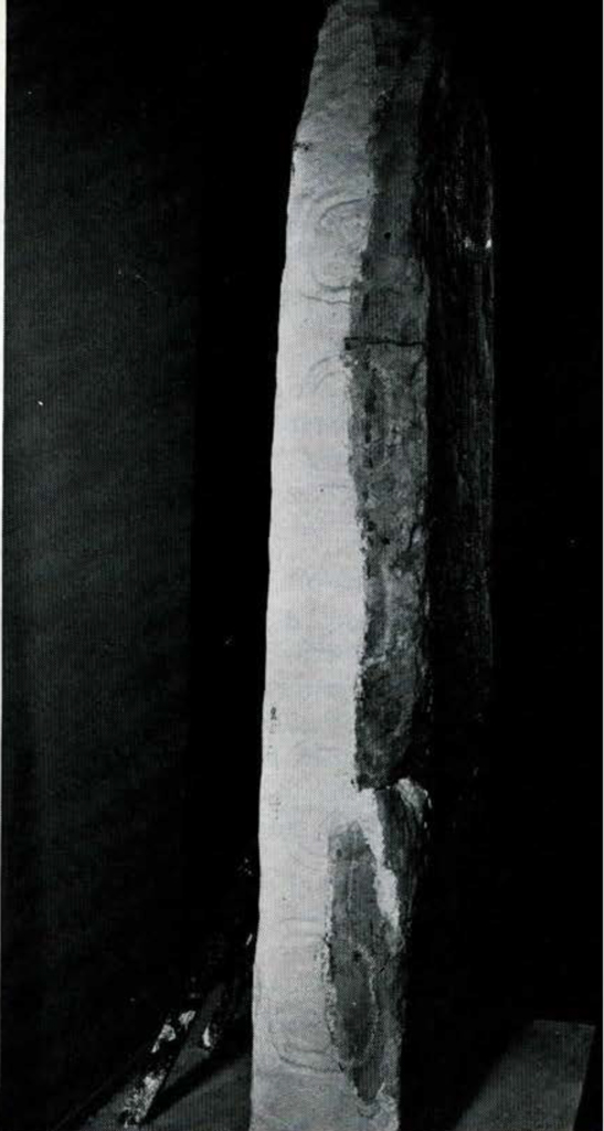 A fully errected stone stela.