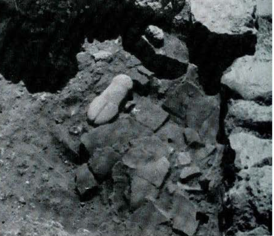 Fragments of pottery in the ground.