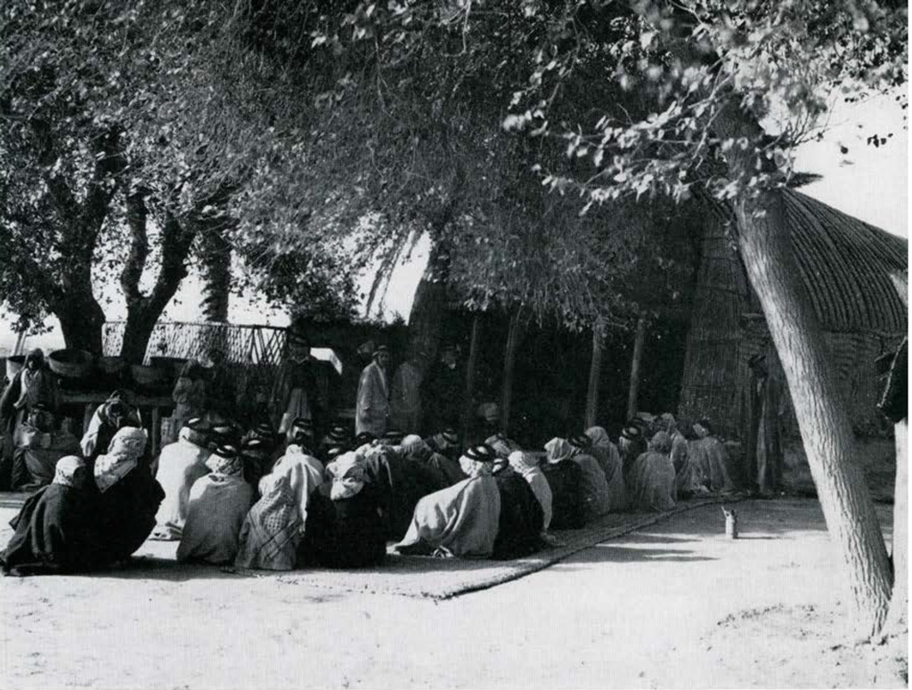 Several rows of people seated on the ground outside the diwan, under trees.