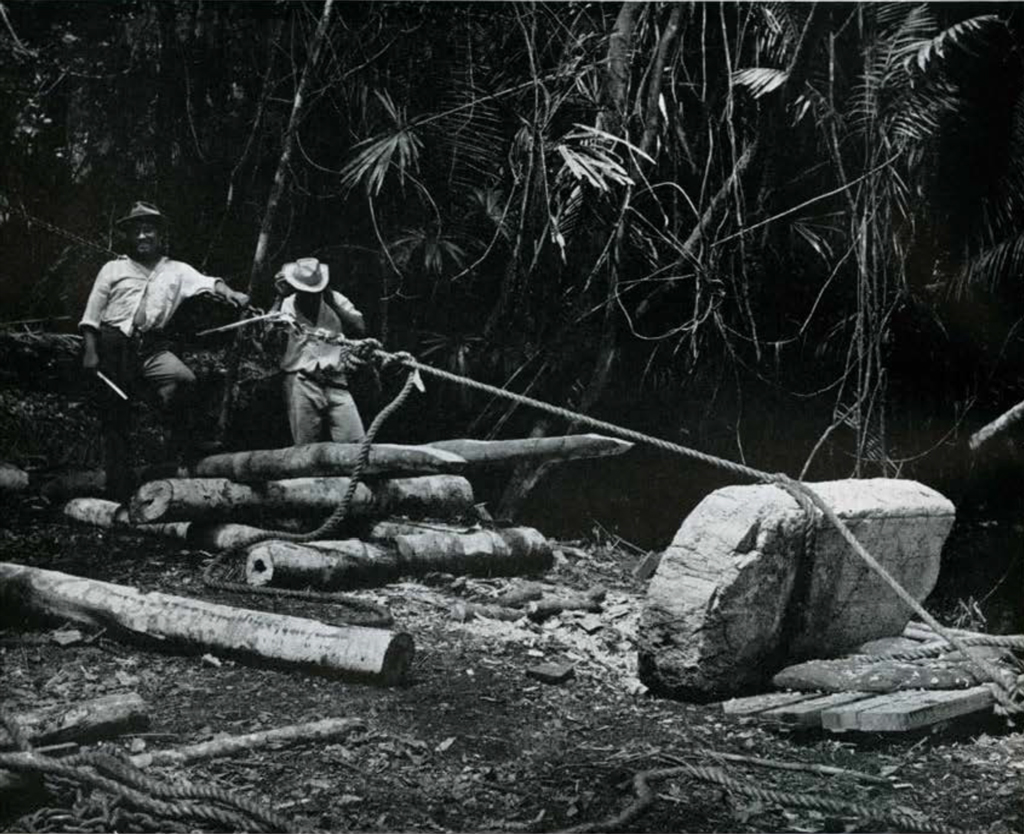 Men hoisting a massive stone stela using rope in the jungle.