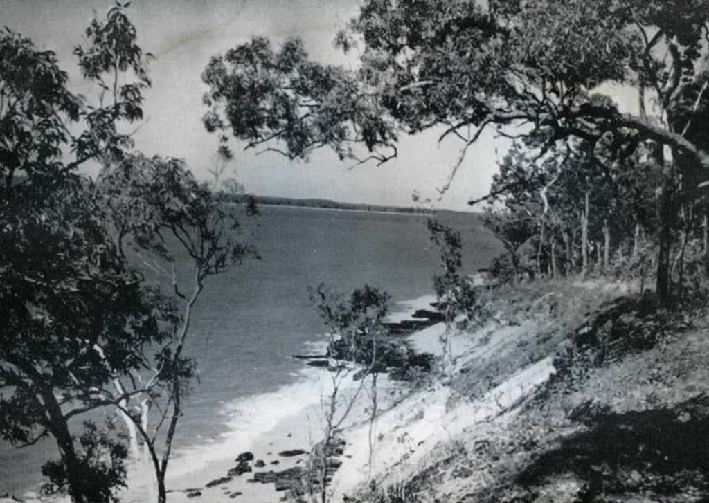 A beach, scattered with rocks, sloping upward to trees.