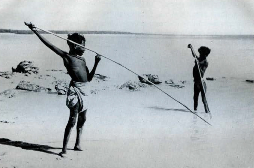 Two children on the beach with very long poles, sticking them in the water.