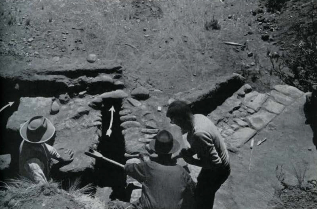 People examining and cleaning a partially excavated stone wall.