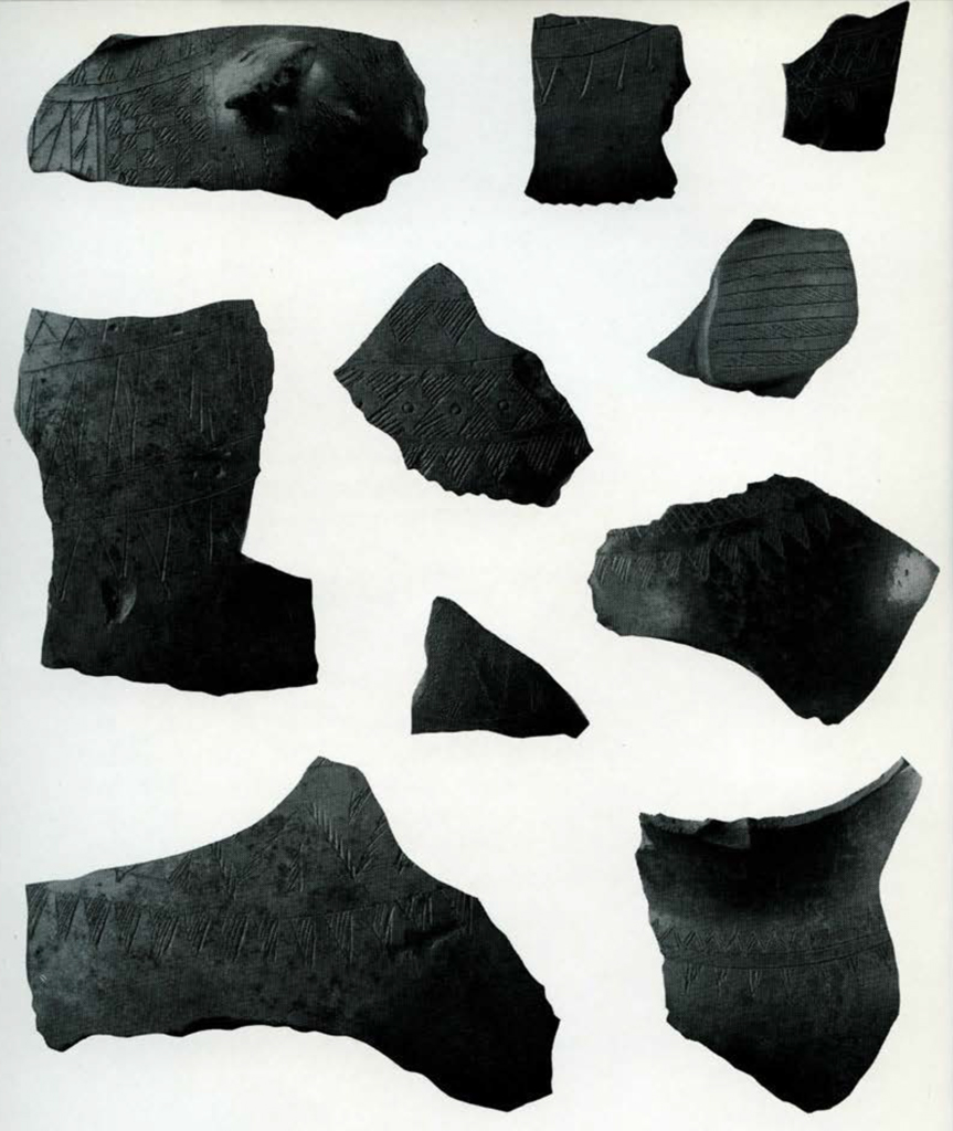 A variety of pottery fragments with incised geometric designs.