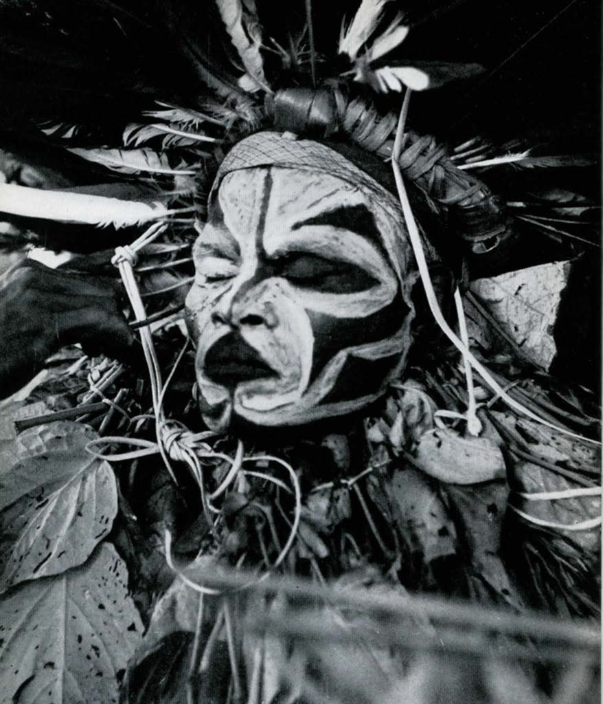 A performer with painted face, wearing full regalia.
