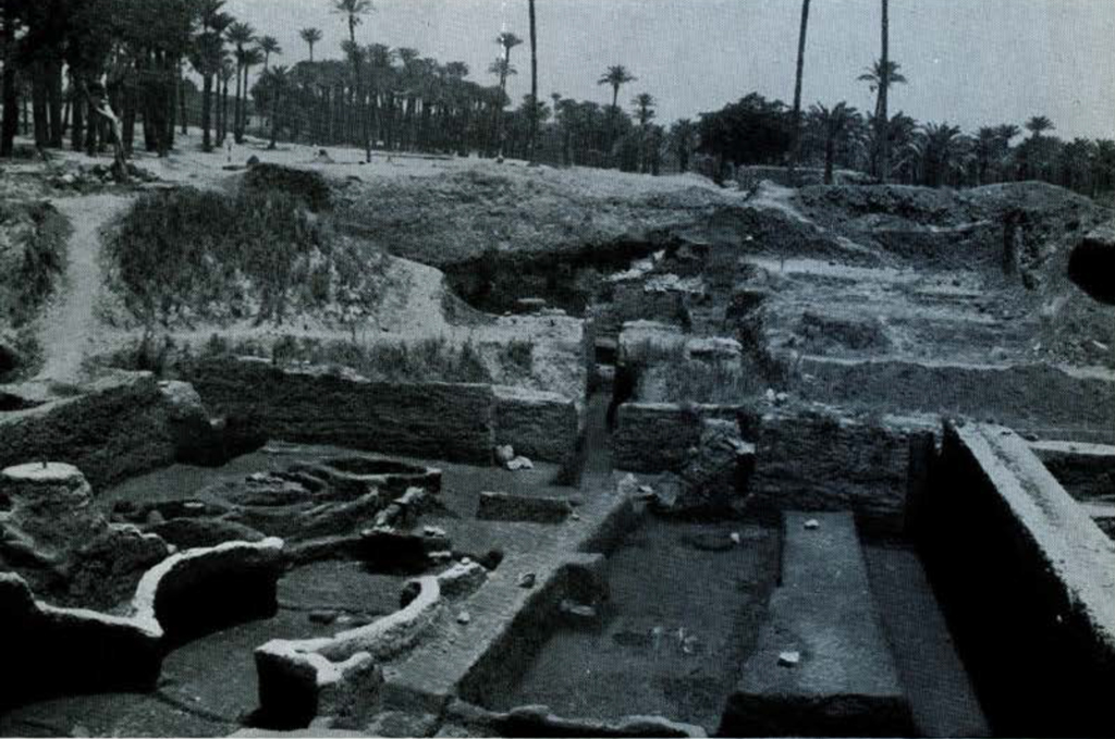 Excavated temple wall area.