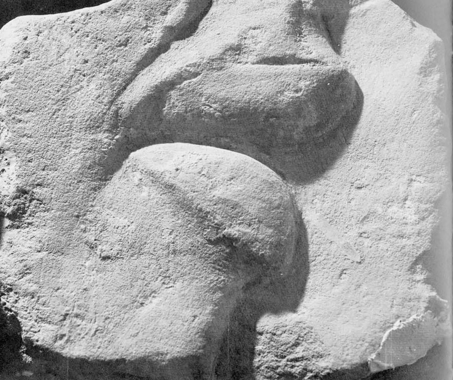 Close up of a portion of a relief, focusing on just the lips in profile.