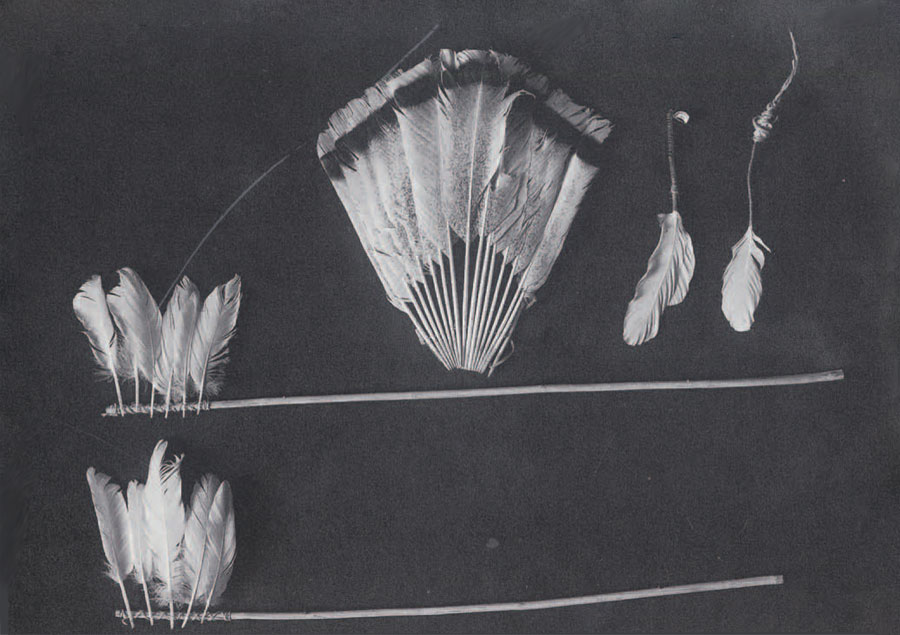 Two dance wands made of long sticks with four to five feathers on one end, a feather fan, and two feather hat ornaments.