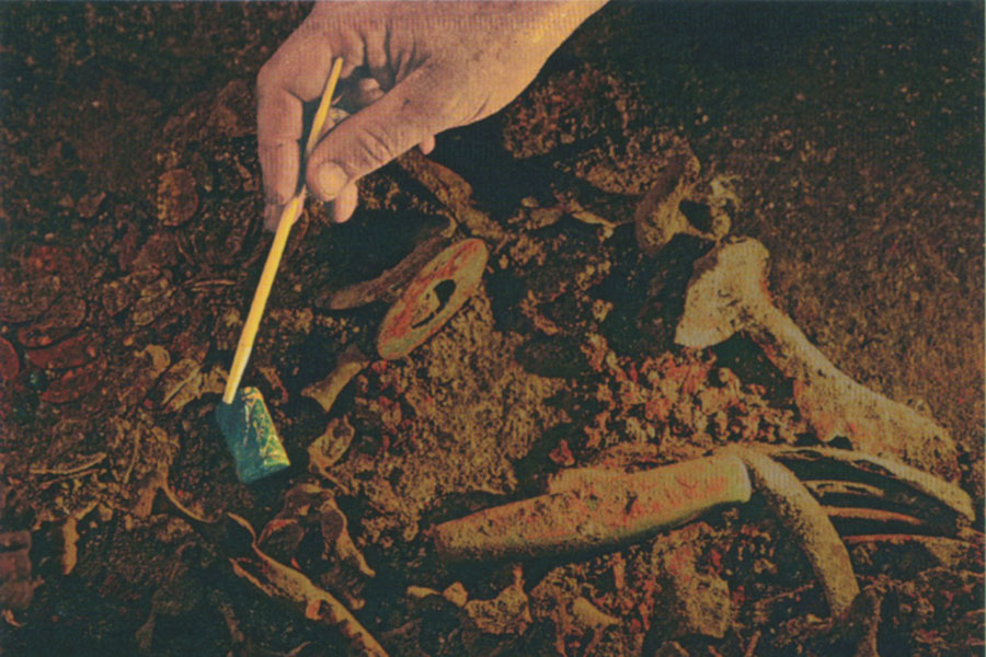 Jade objects in situ after the surrounding remains were removed.