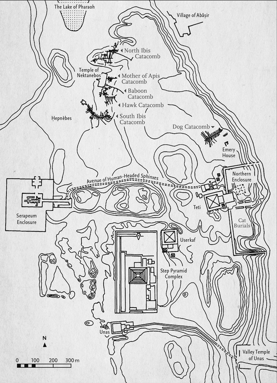 A map of North Saqqara showing animal catacomb locations.