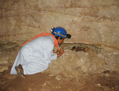 A person excavating animals and coffins.