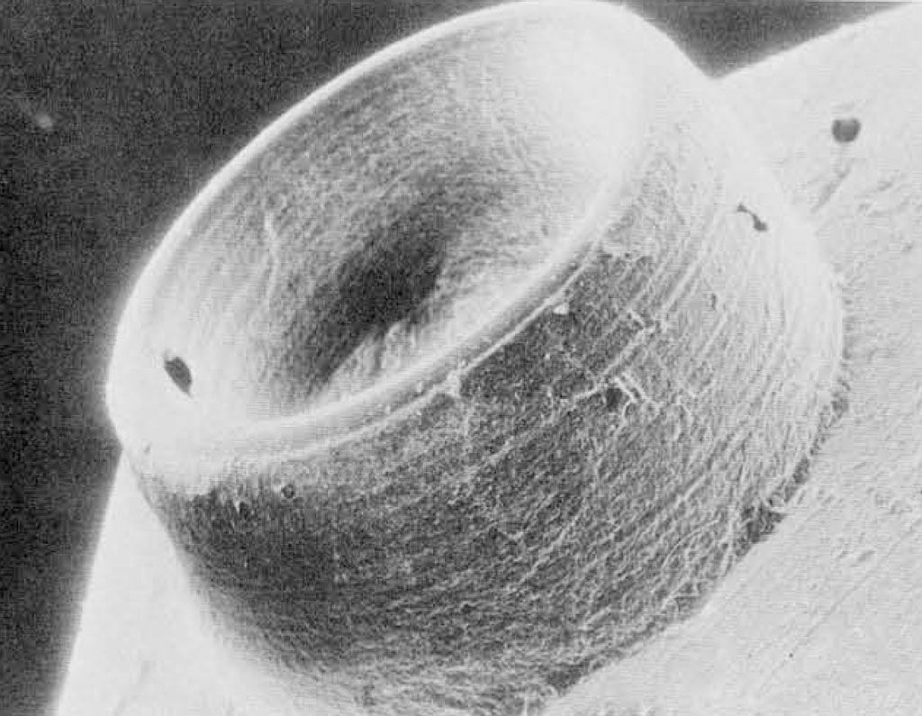 Micrograph of drill hole showing extremely fine lines worn into it.