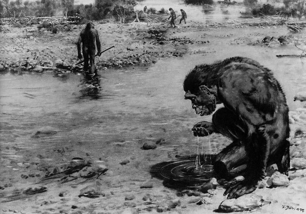 Artits reconstruction of an early hominid using its hand to drink from a stream.
