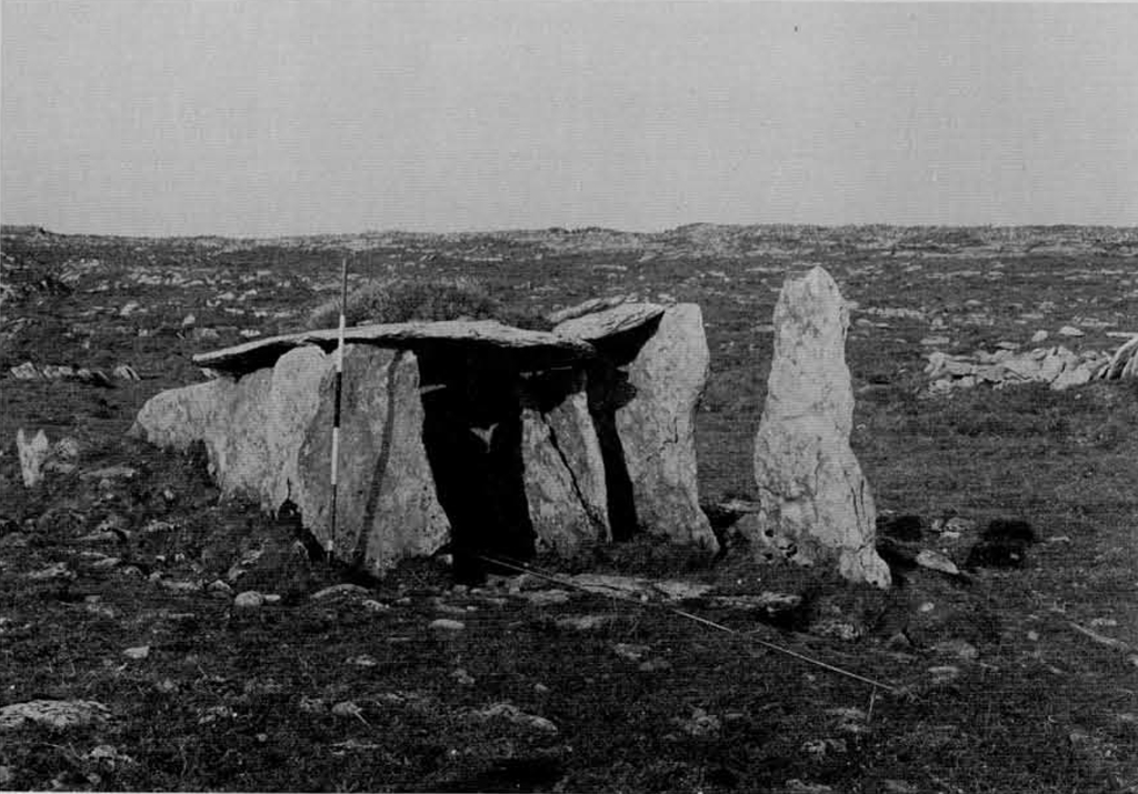 A wedge-tomb, made of stone pillars with a slab of stone as roof.