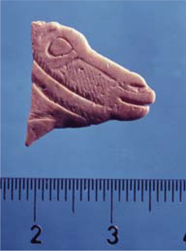 Small carving of an animal head.