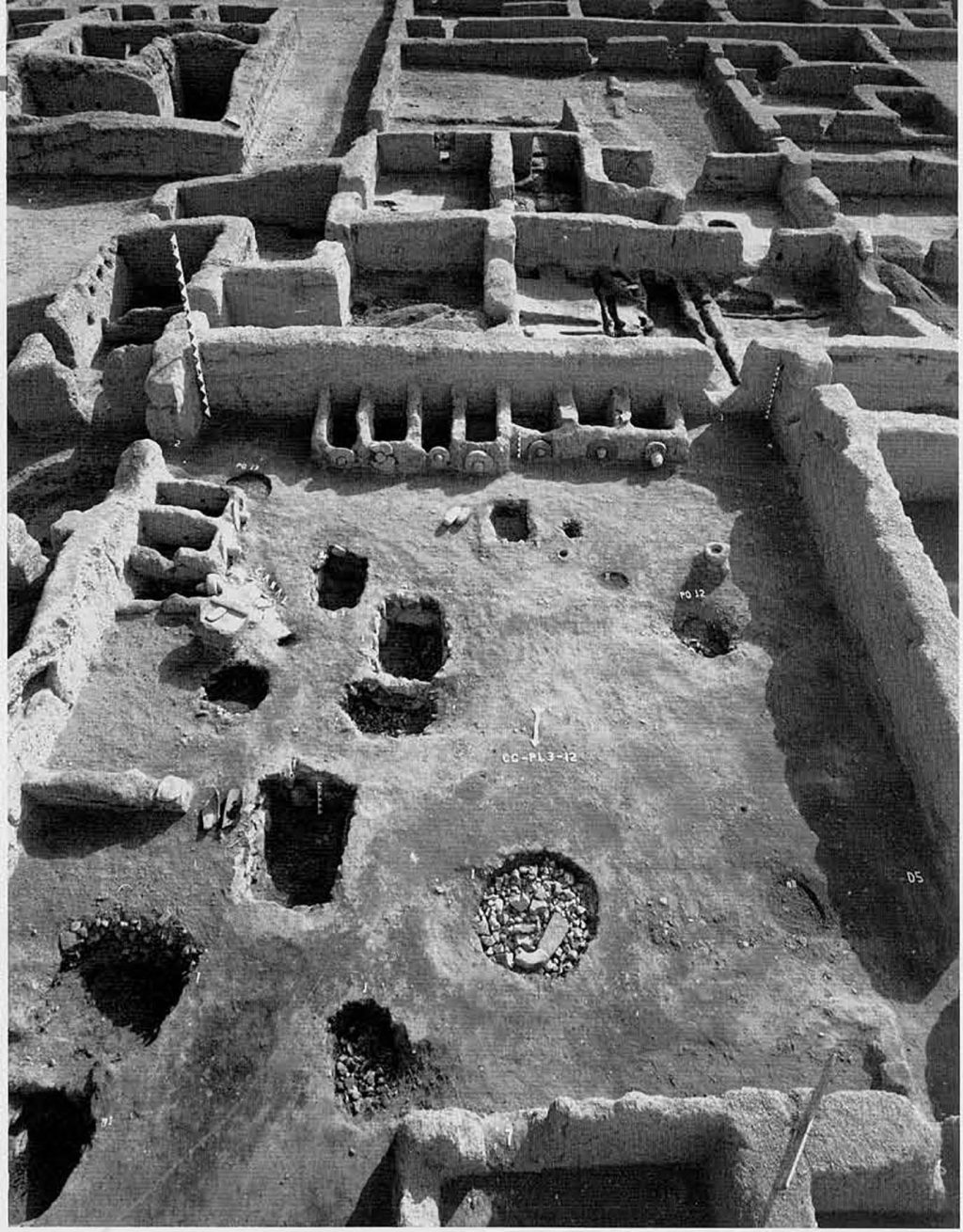 This plaza is the best preserved macaw breeding area at Paquimé. The square boxes were nesting pens and would have been covered with mats. The various pits may have been used to prepare the special food required by macaws. Note the doughnut-shaped stones (with plugs) that were used as entrances to the cages. These have been found at a few other sites in the surrounding area and clearly indicate that macaws were raised at nearby communities. 