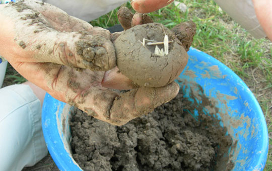 A person holding a small lump of clay from a blue bucket.