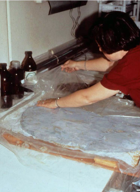 A woman covering an artifact in plastic.