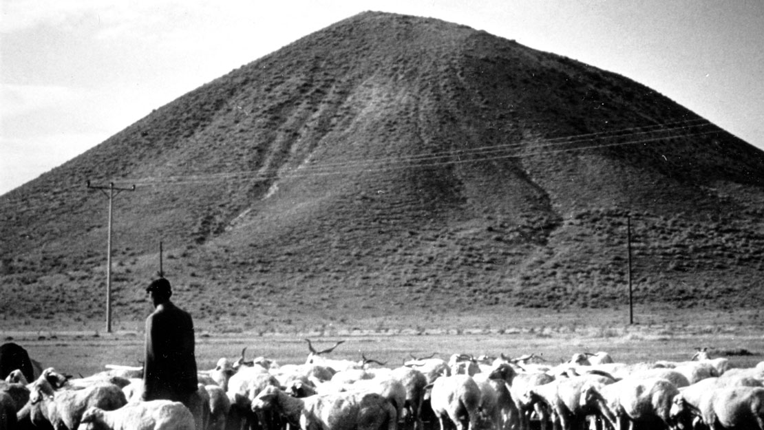 A person with a herd of sheep or goats, a massive mound in the distance.