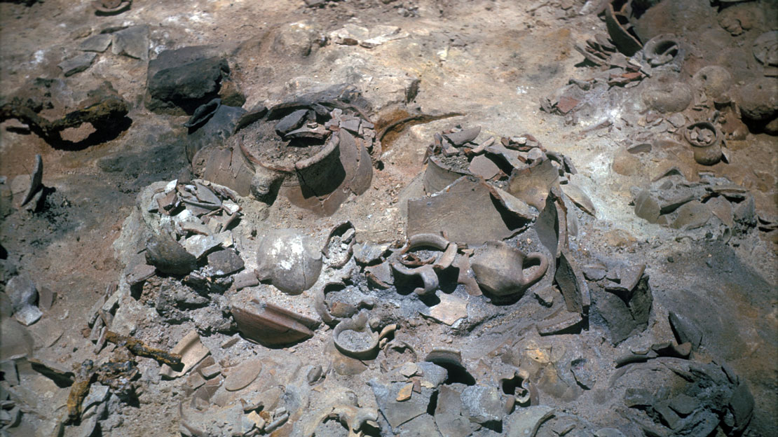 A group of broken pottery sherds in situ.