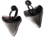 Tlingit shark tooth earrings, Alaska 1918