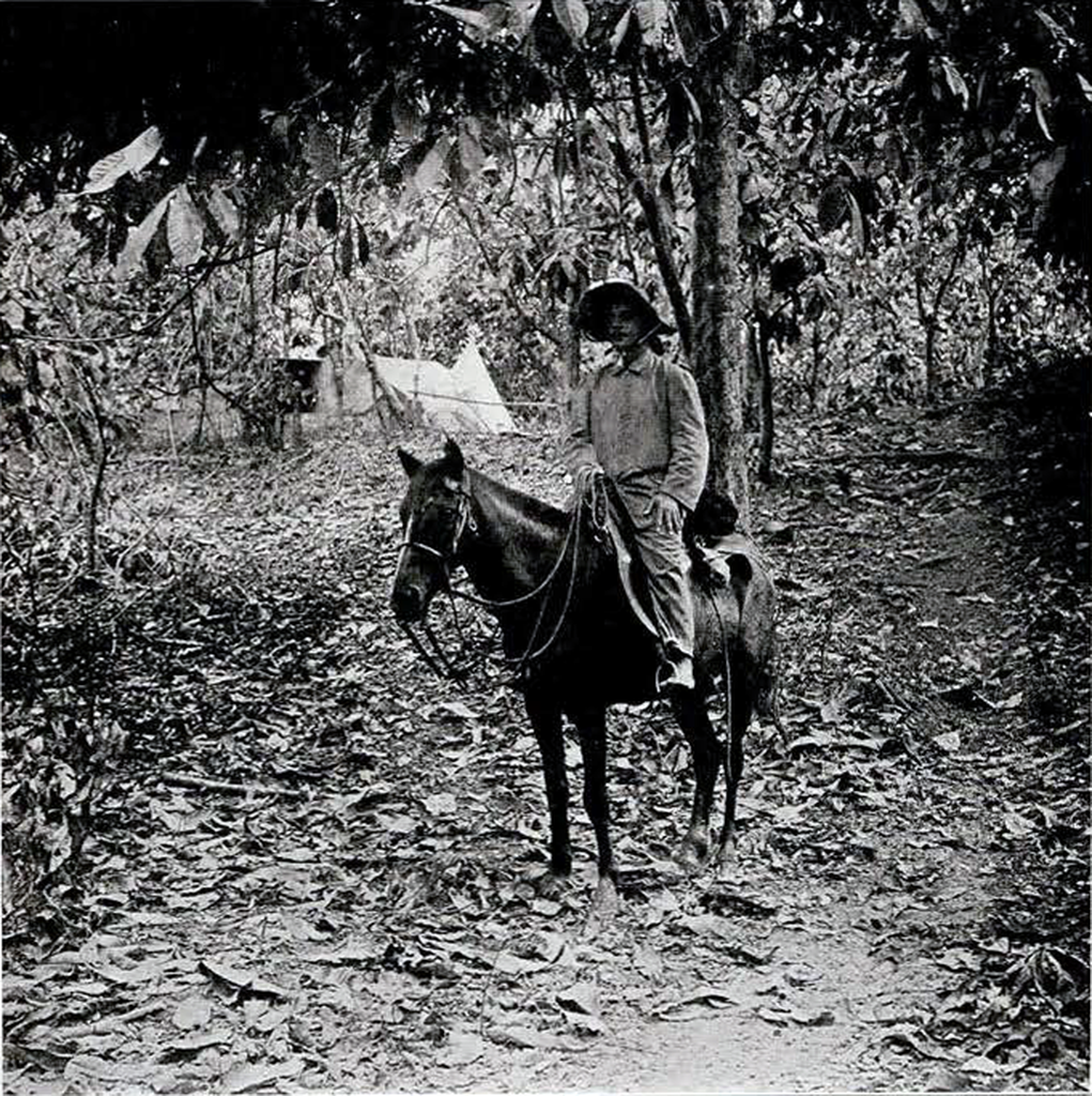 Bertino Miranda on a horse