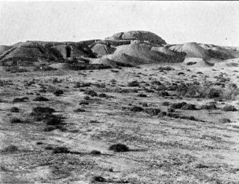 Nippur ruins