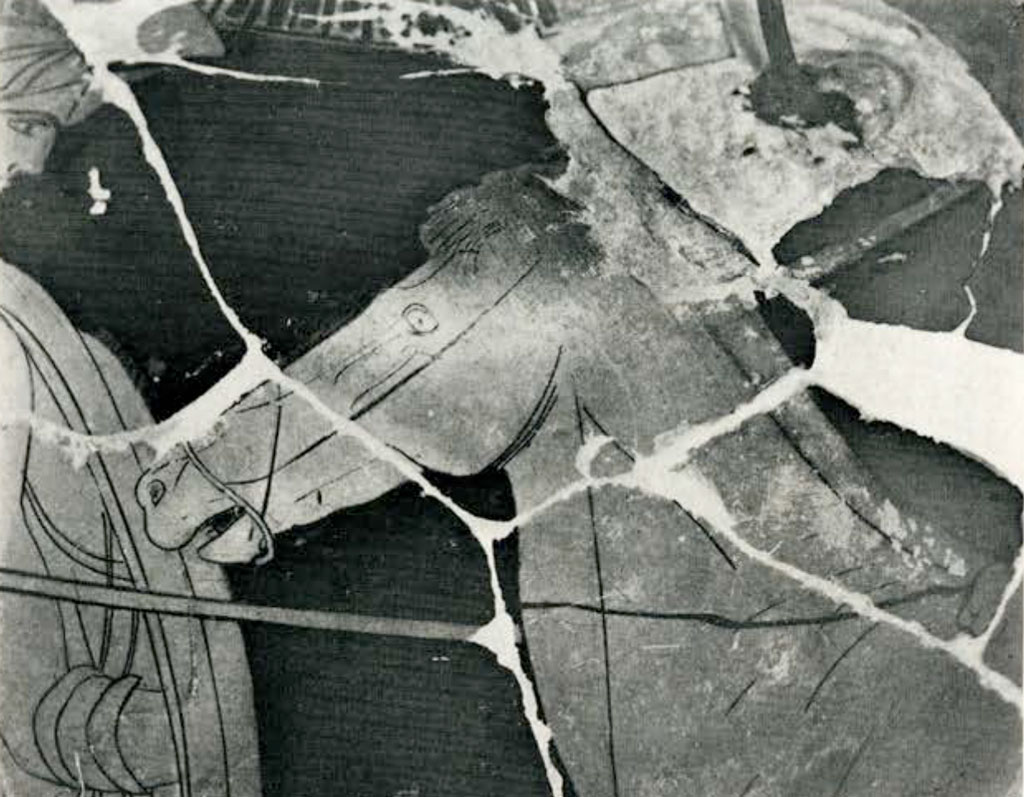 Close up of fragmented area from loutrophoros, showing horse head and neck
