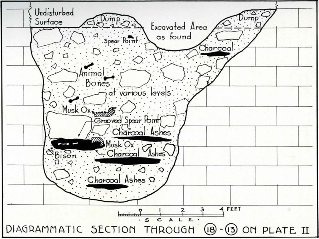 Drawn diagramatic section of Burnet Cave through 18-13 showing object and material locations