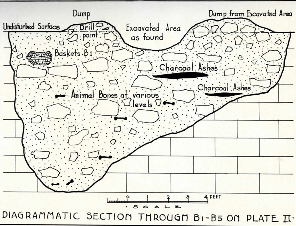 Drawn diagramatic section of Burnet Cave through b1-b5 showing object and material locations