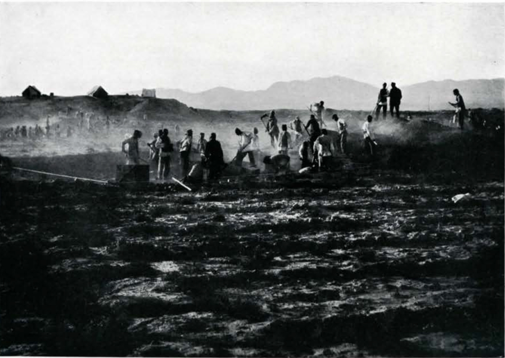 A large group of men digging and working in the desert