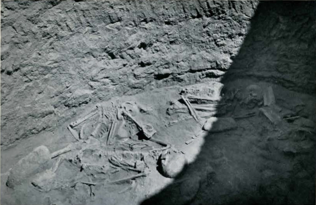 Close up of remains at the bottom of the cylindrical pit