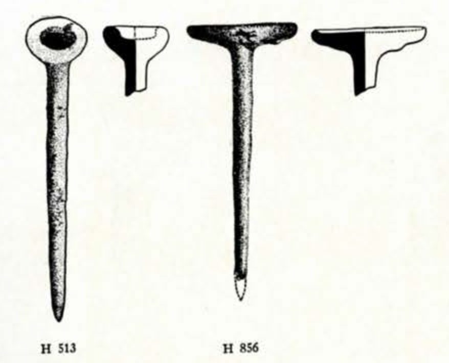 Drawn exterior of two nails and cross section of nail heads
